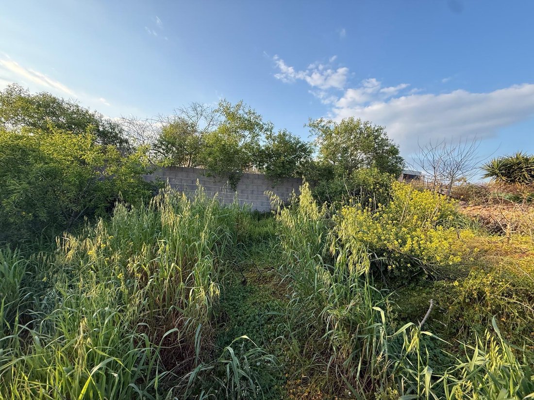 Terrain à Campos, Îles Baléares, Espagne 4 - 18493483