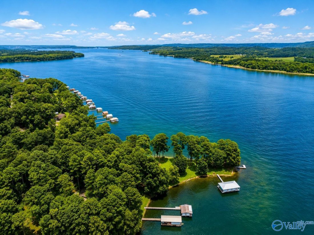 House in Guntersville, Alabama, United States 2 - 18493284