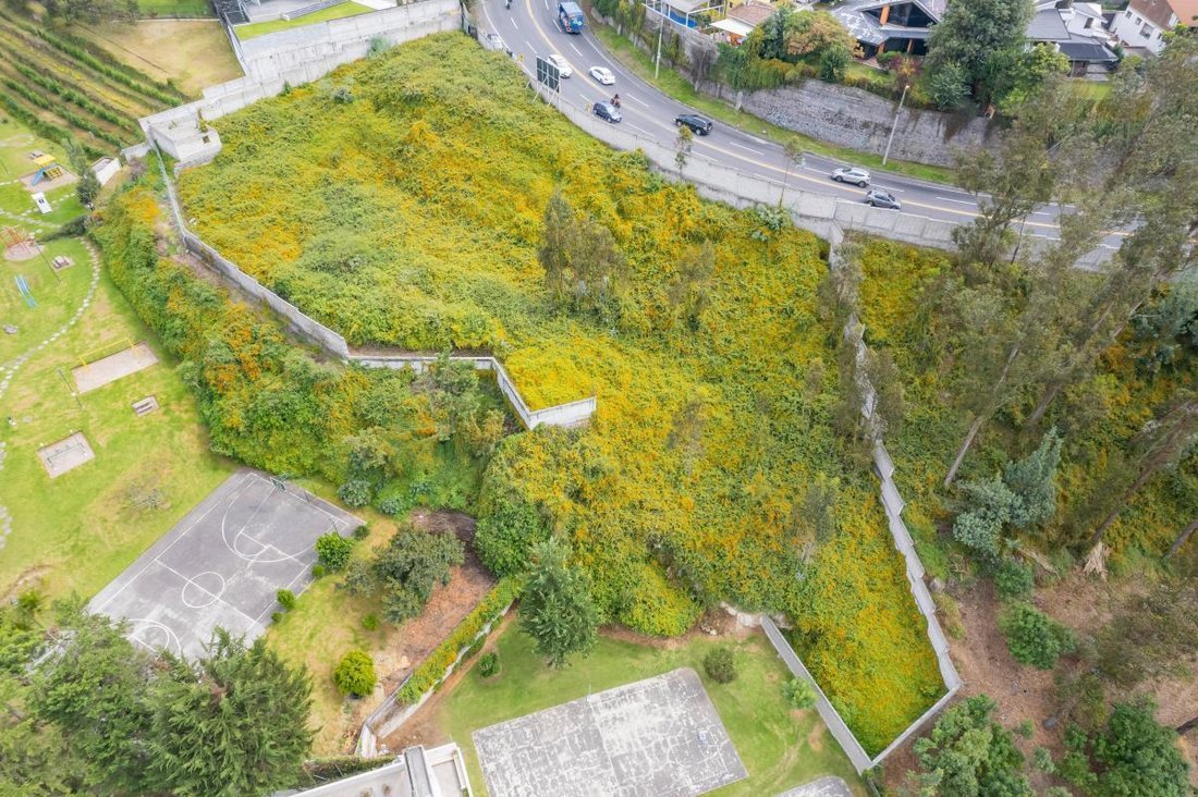 Land in Quito, Pichincha, Ecuador 2 - 18492603