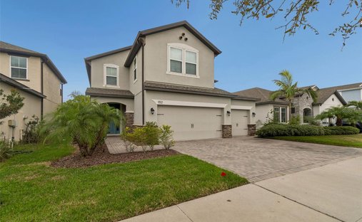 House in Tampa, Florida, United States 1