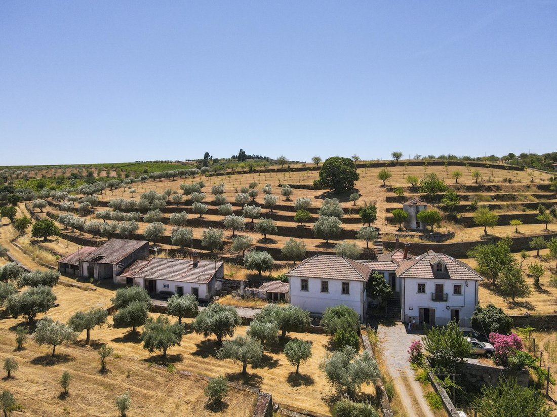 Finca in Touca, Guarda District, Portugal 1 - 17474256
