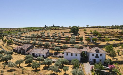 Finca in Touça, Distrikt Guarda, Portugal 1