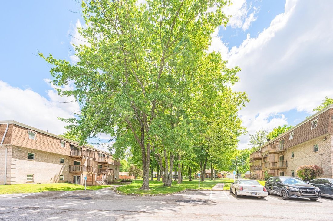 Apartment in Cincinnati, Ohio, United States 5 - 18494816