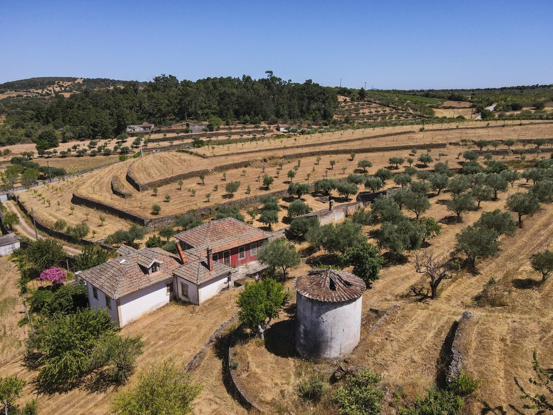 Finca in Touca, Guarda District, Portugal 2 - 17474256