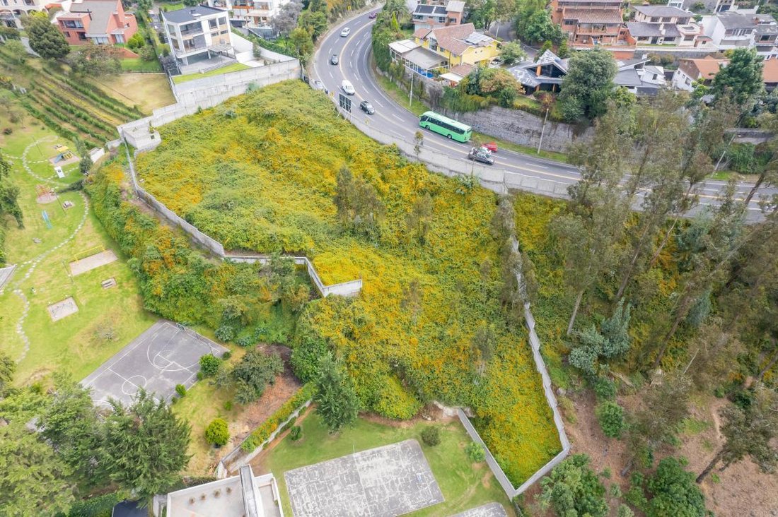 Land in Quito, Pichincha, Ecuador 3 - 18492603