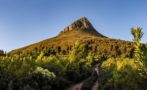Land in Stellenbosch, Westkap, Südafrika 1