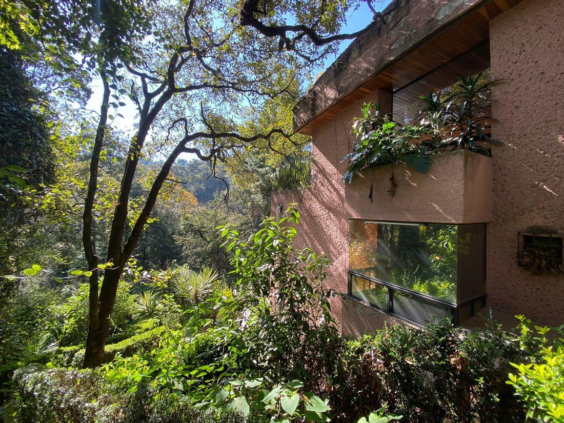 House in Mexico City, Mexico 4 - 18492891