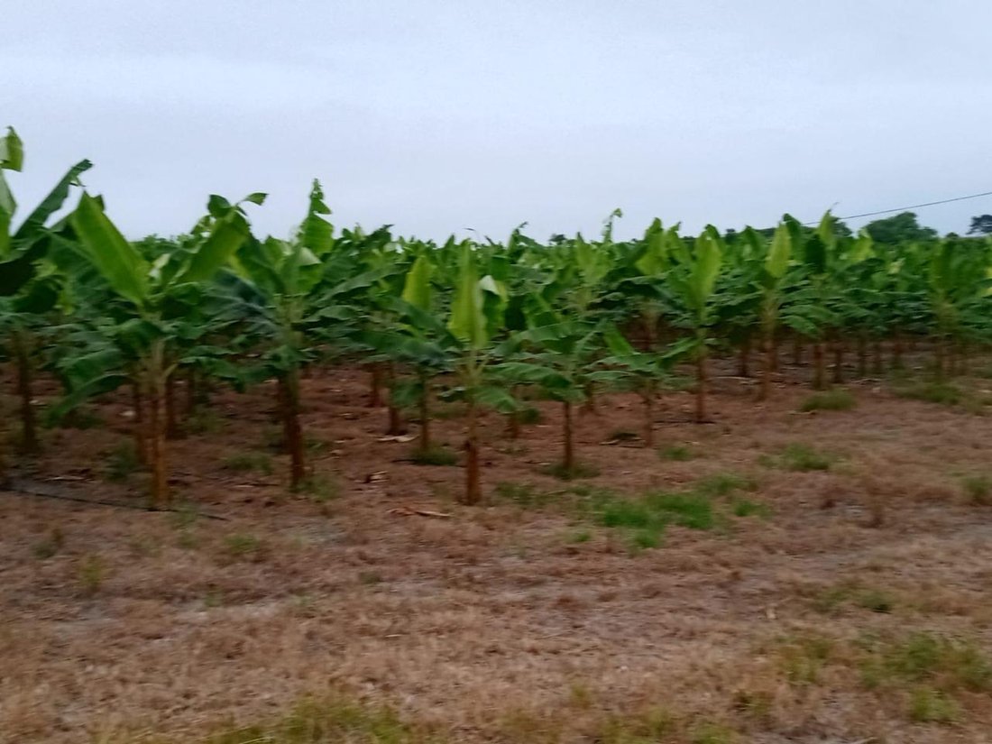 Land in Manta, Manabí, Ecuador 1 - 18492571