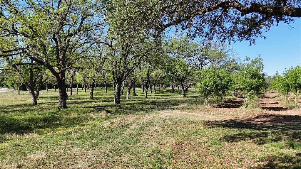 Land in Comanche, Texas, United States 3 - 18494296