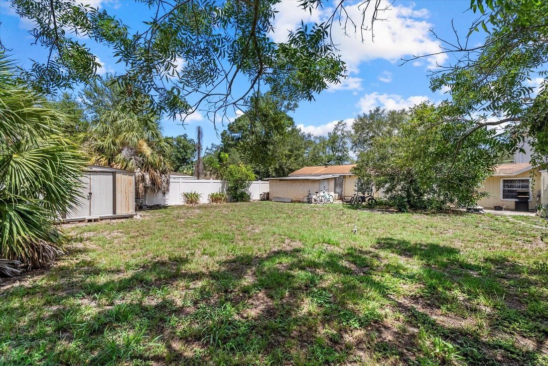 House in Tampa, Florida, United States 3 - 18494553