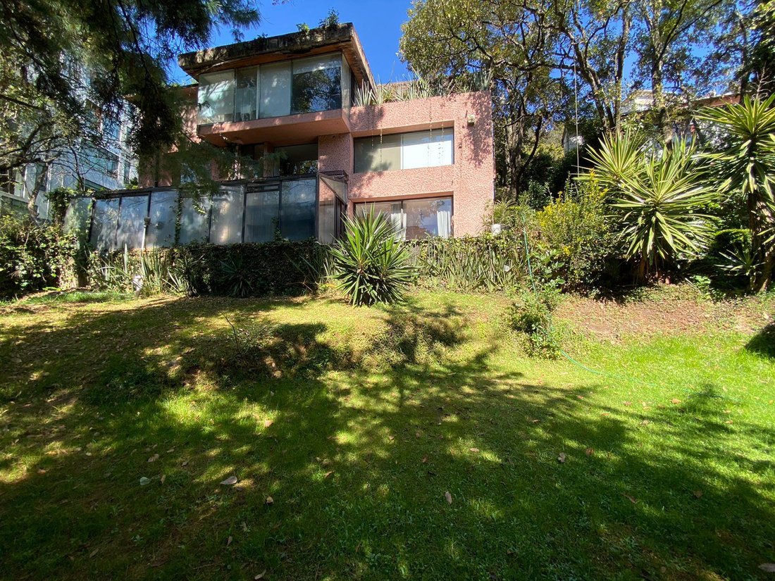 House in Mexico City, Mexico 1 - 18492891