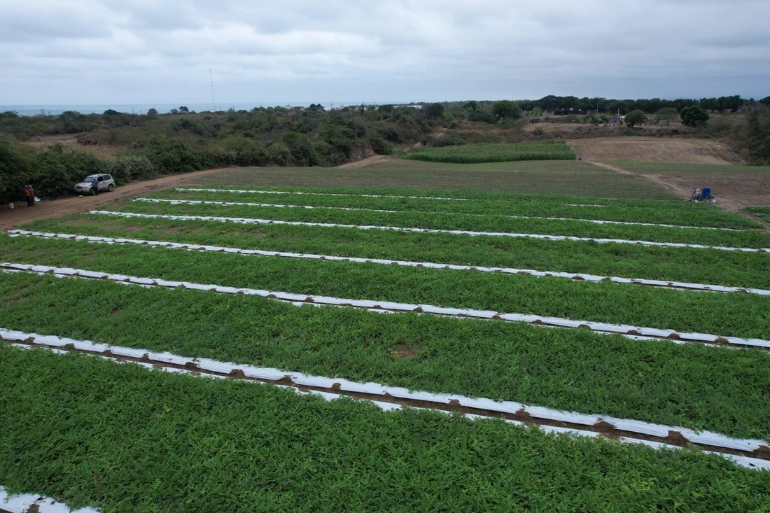 Land in Puerto Cayo, Manabí, Ecuador 1 - 18492601