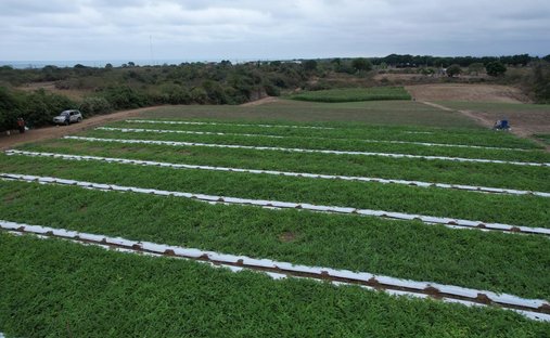 Land in Puerto Cayo, Manabí, Ecuador 1