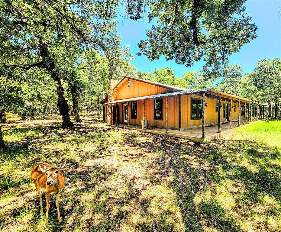 House in Tuscola, Texas, United States 1 - 18494290