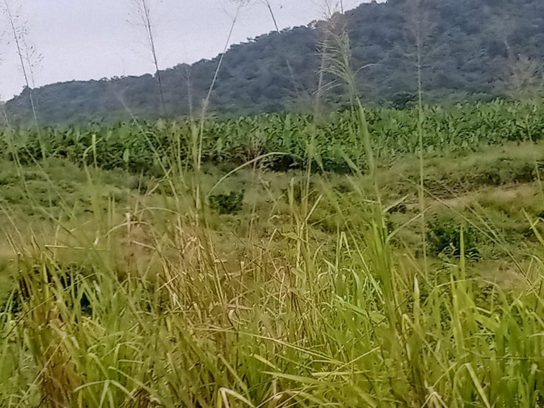 Land in Puerto Cayo, Manabí, Ecuador 4 - 18492601
