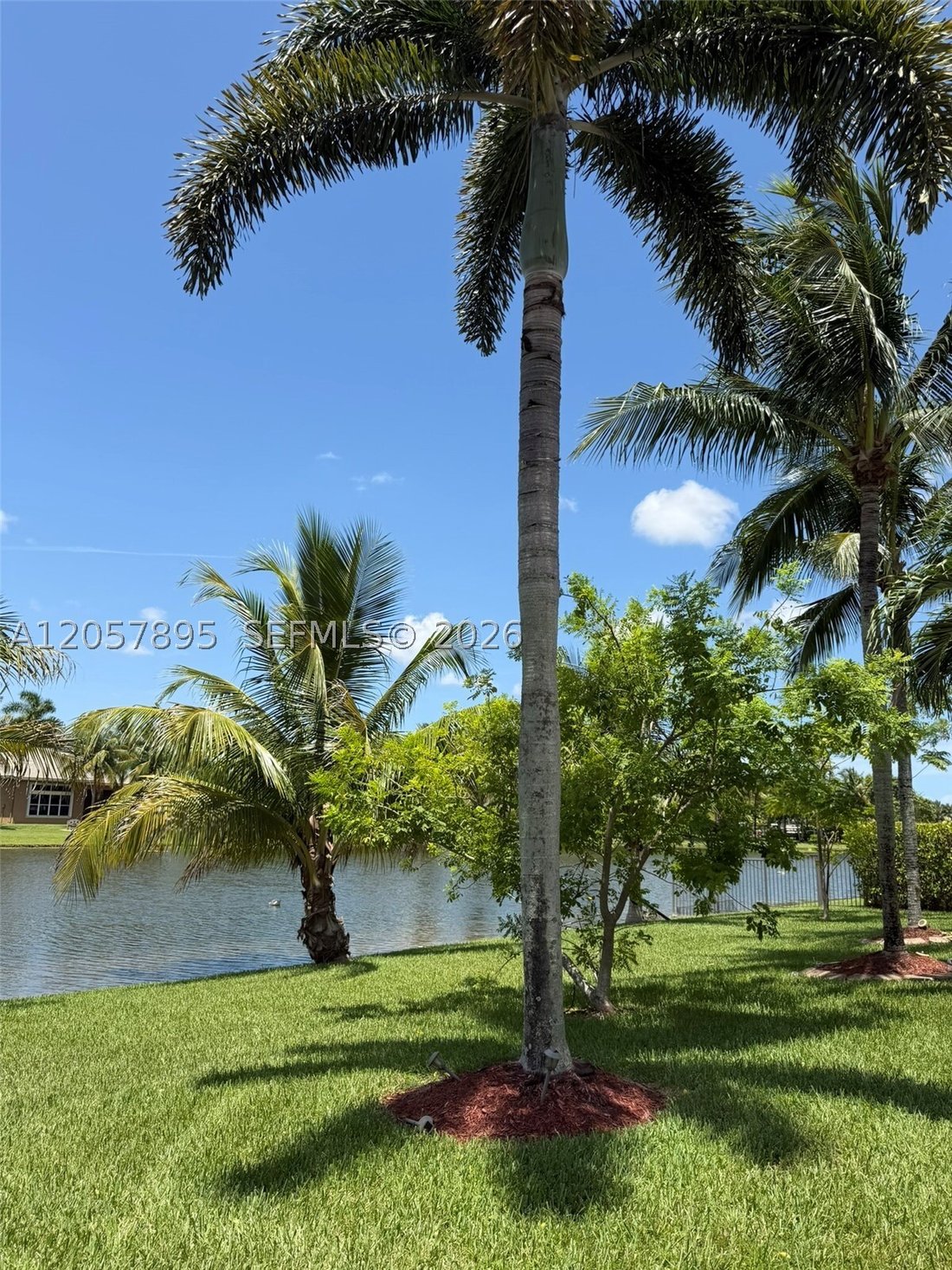 House in Southwest Ranches, Florida, United States 2 - 18493498