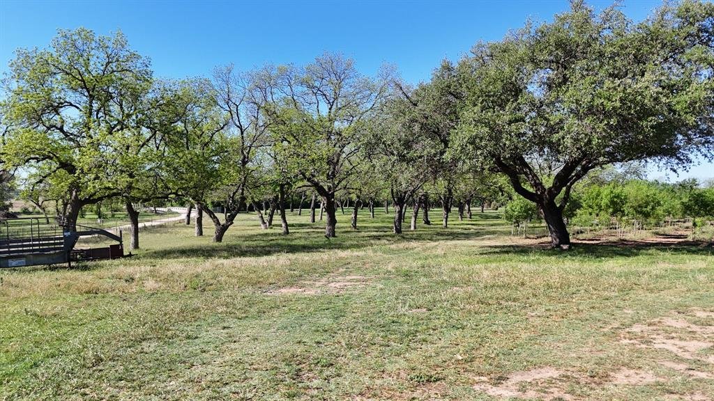 Land in Comanche, Texas, United States 2 - 18494296