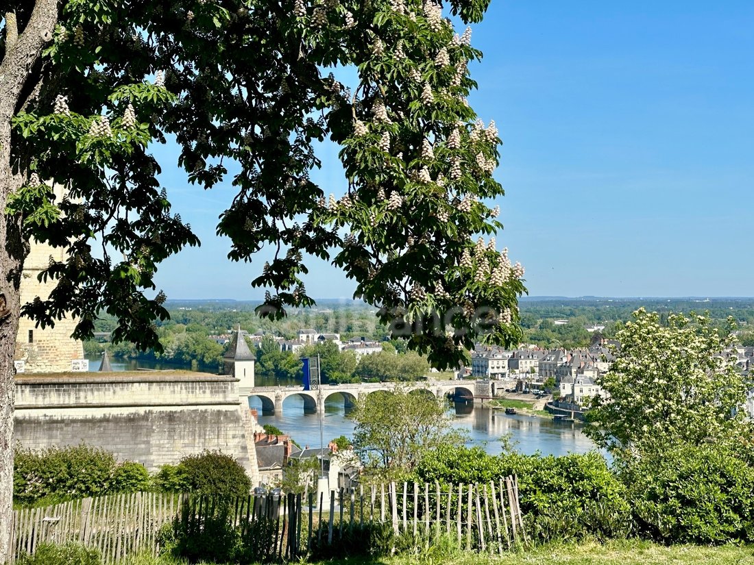 House in Centre Ville - Fenet - Petit Puy, Saumur, France 3 - 17723498