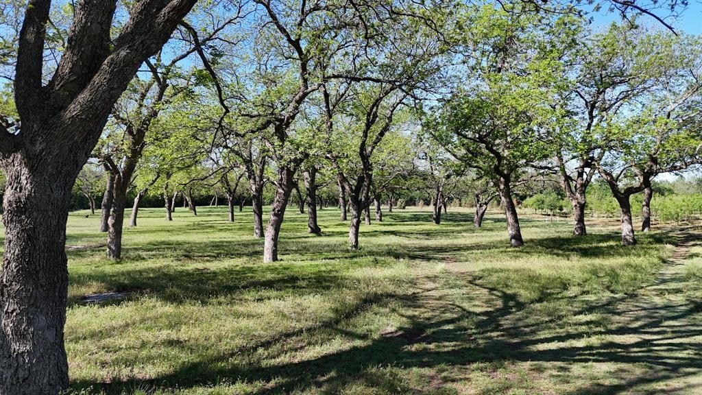 Land in Comanche, Texas, United States 4 - 18494296