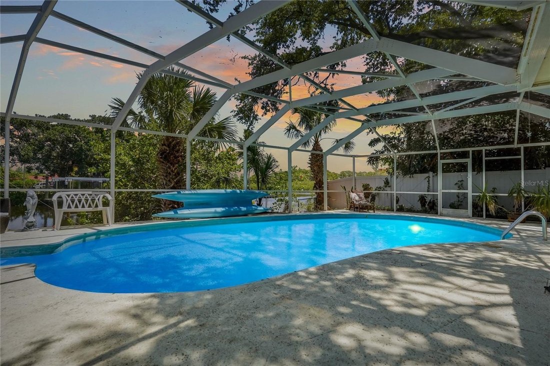 House in Palm Harbor, Florida, United States 4 - 18495985