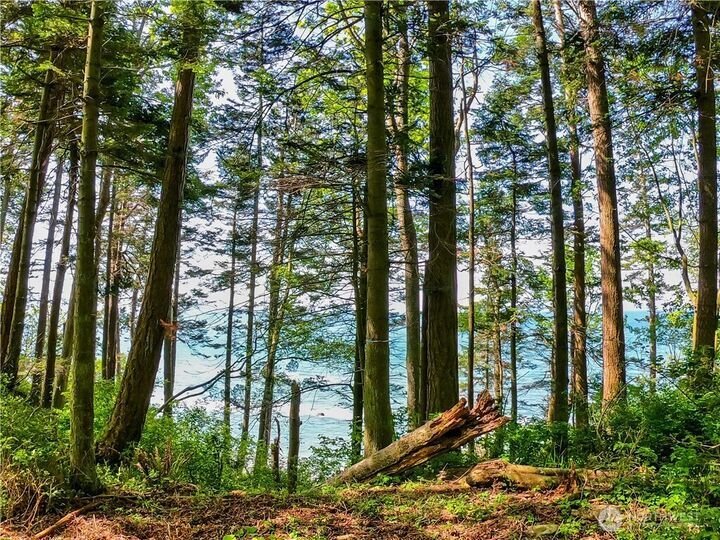Land in Birch Bay, Washington, United States 3 - 18496380