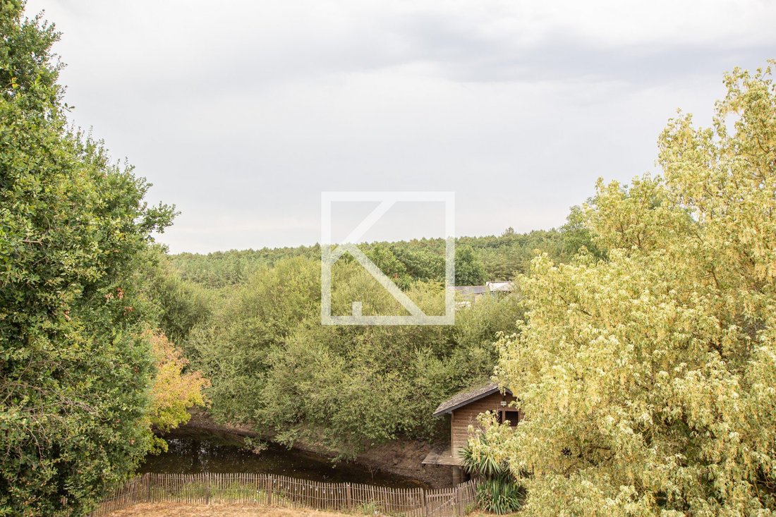 House in Soulaines-sur-Aubance, Pays de la Loire, France 2 - 18496206
