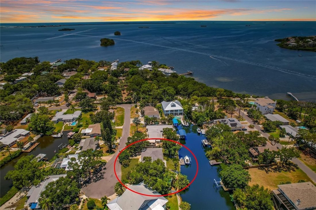 House in Palm Harbor, Florida, United States 1 - 18495985