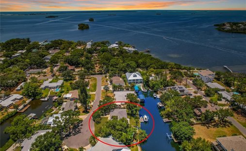 House in Palm Harbor, Florida, United States 1