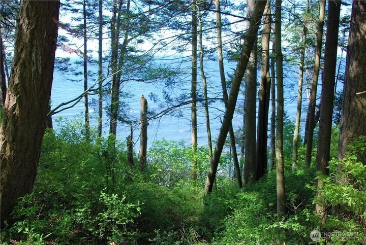 Land in Birch Bay, Washington, United States 4 - 18496379