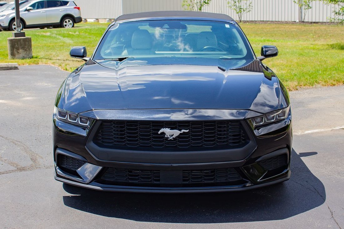 Cabriolet in Fishers, IN, United States 2 - 18497593
