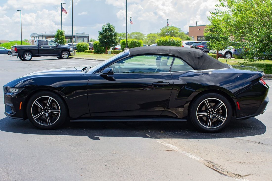 Cabriolet in Fishers, IN, United States 4 - 18497593