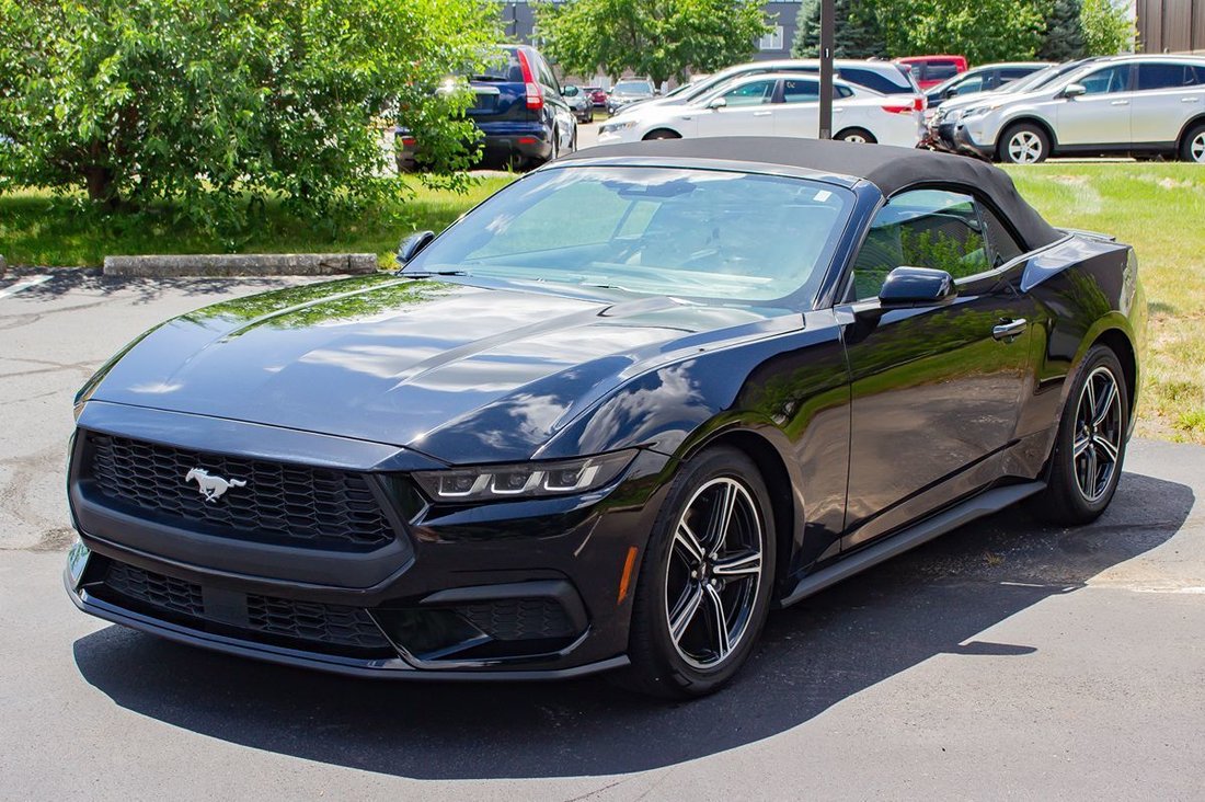 Cabriolet in Fishers, IN, United States 3 - 18497593
