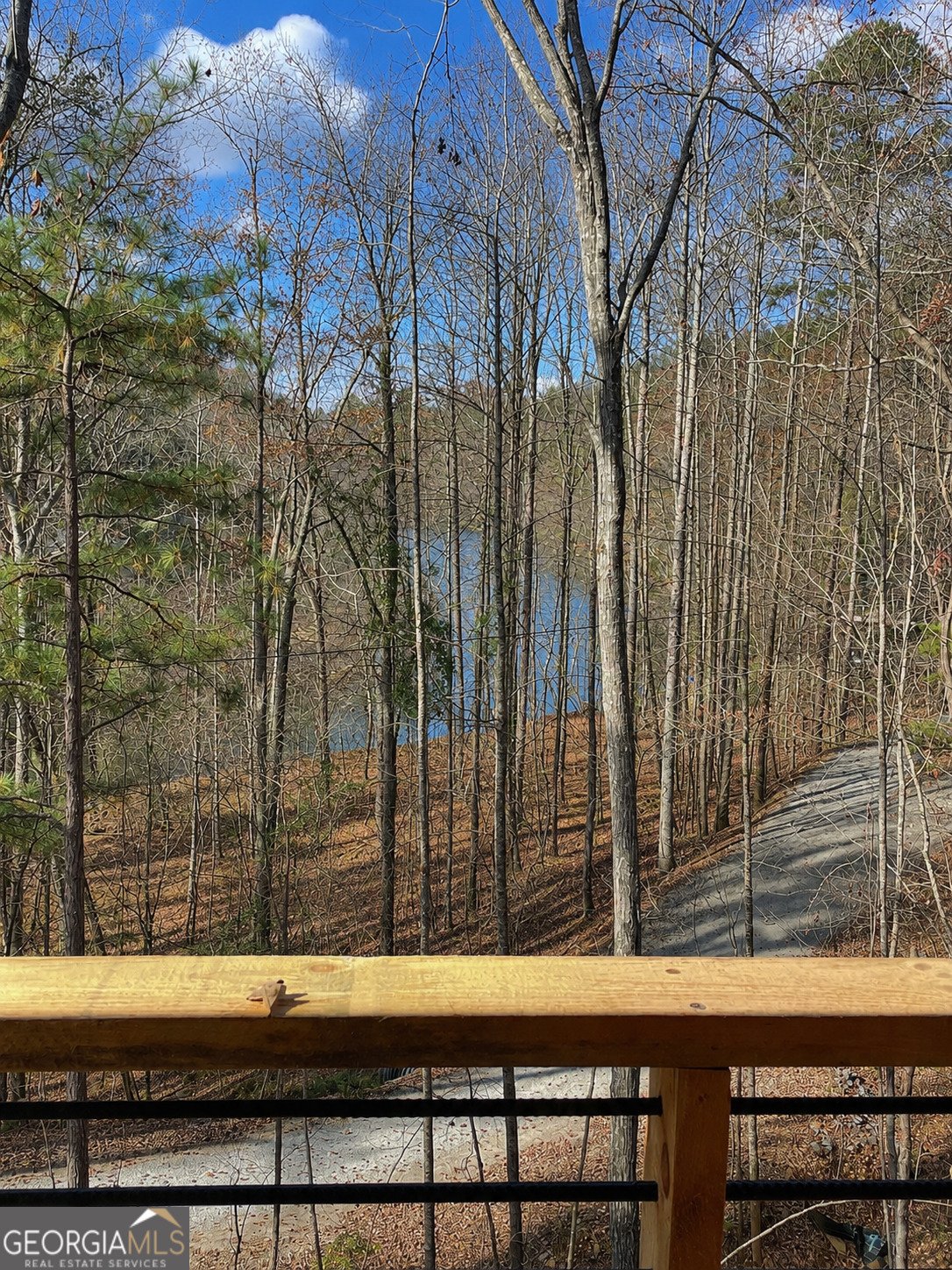 House in Ellijay, Georgia, United States 3 - 17722893