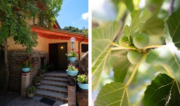 Villa in Dorgali, Sardinien, Italien 1