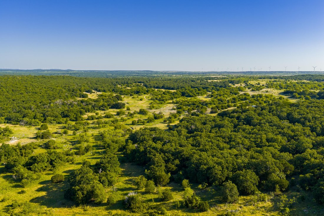 Farm Ranch in Jacksboro, Texas, United States 5 - 18497736