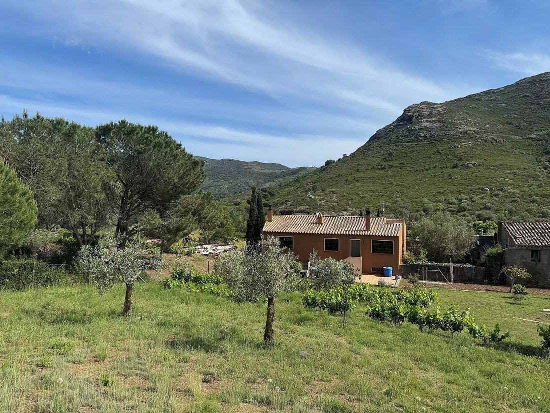 Chalet in Llanca, Catalonia, Spain 3 - 18497819