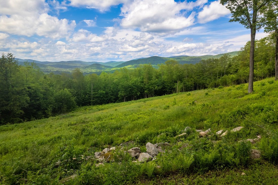 Land in Weston, Vermont, United States 3 - 18497737