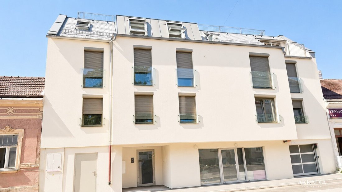 Penthouse in Vienna, Wien, Austria 2 - 17036847