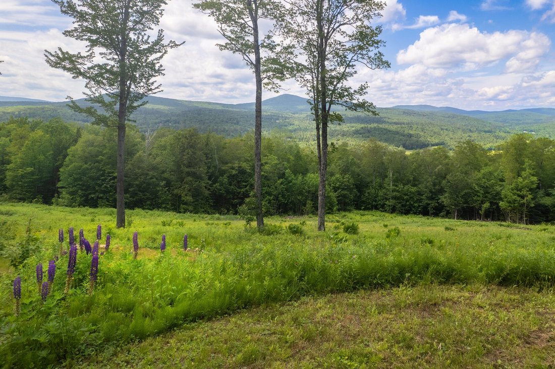 Land in Weston, Vermont, United States 1 - 18497737