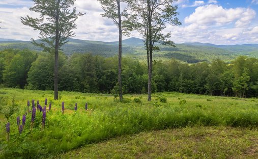 Land in Weston, Vermont, United States 1