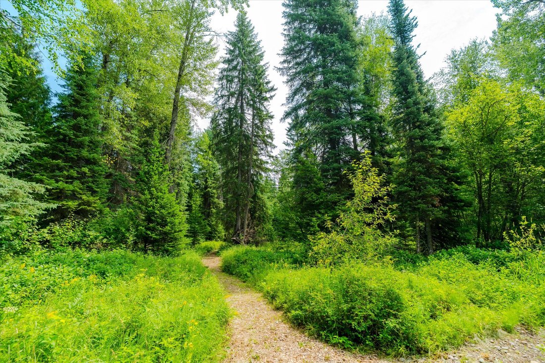 Land in Columbia Falls, Montana, United States 5 - 18498124