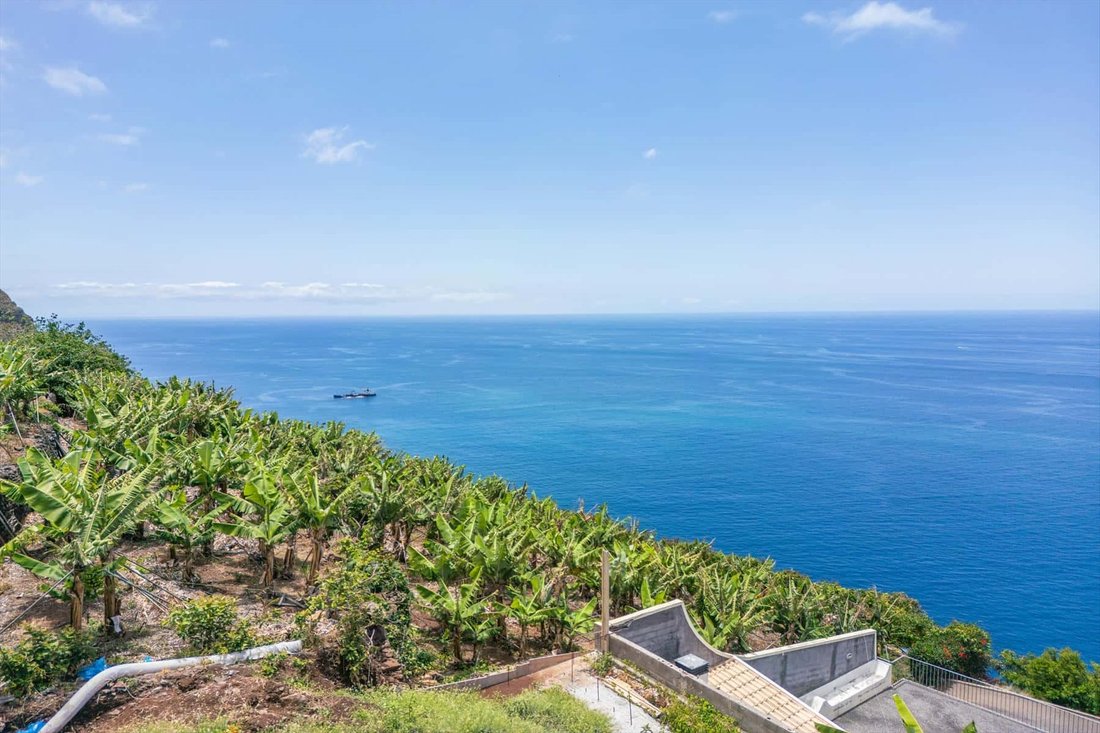 Land in Estreito da Calheta, Madeira, Portugal 2 - 18498142
