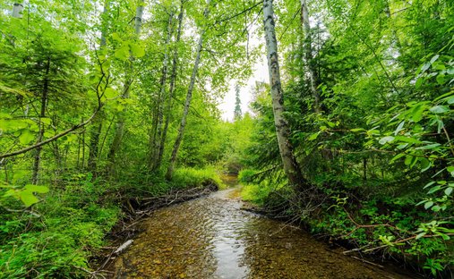 Terreno a Columbia Falls, Montana, Stati Uniti 1