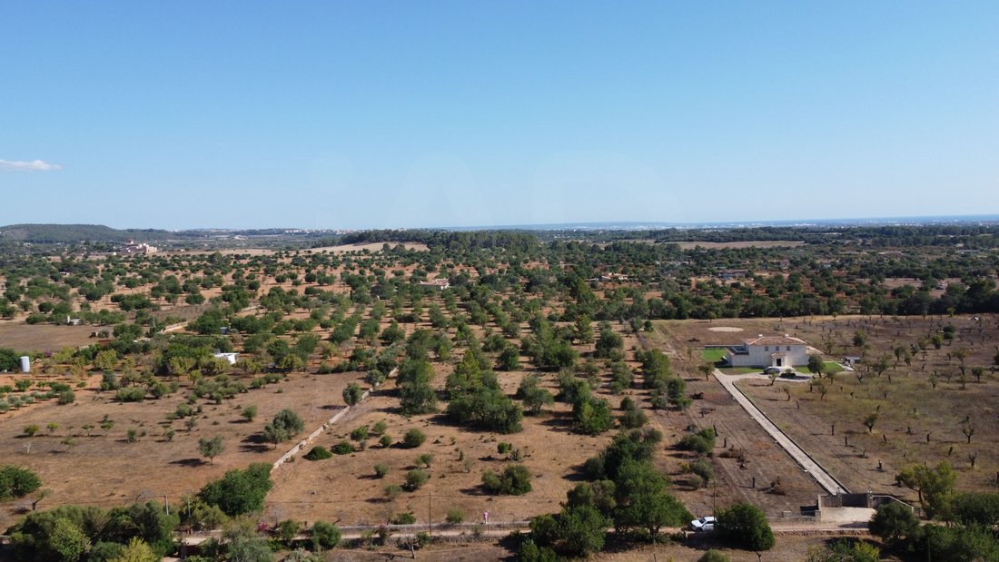 Land in Marratxi, Balearic Islands, Spain 5 - 18498464
