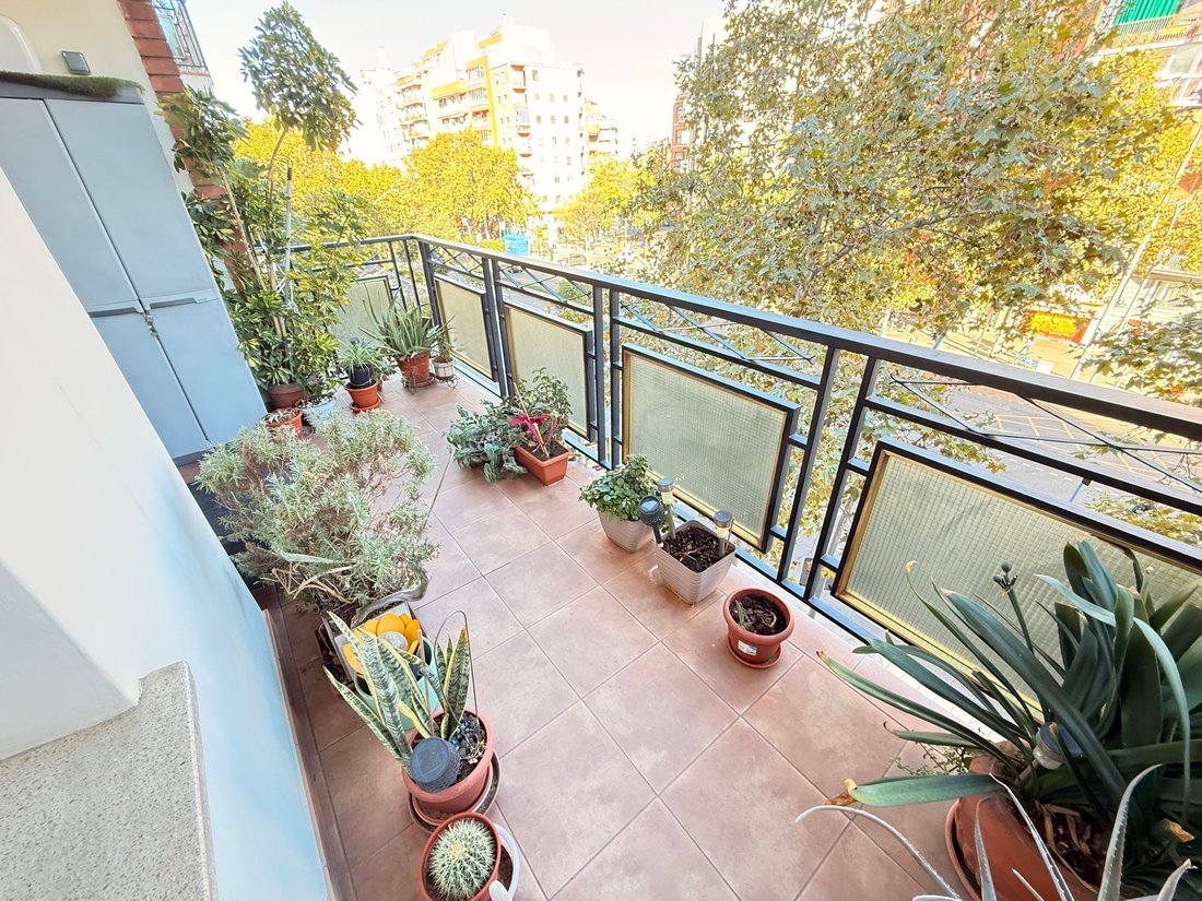 Wohnung in Sant Andreu de Palomar, Barcelona, Spanien 1 - 16767584