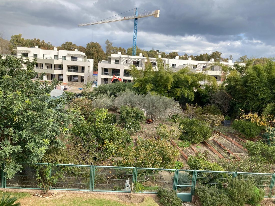 Land in Casares, Andalusia, Spain 4 - 16668419