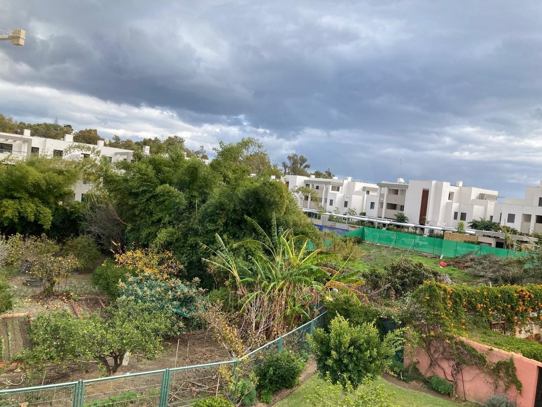 Land in Casares, Andalusia, Spain 5 - 16668419