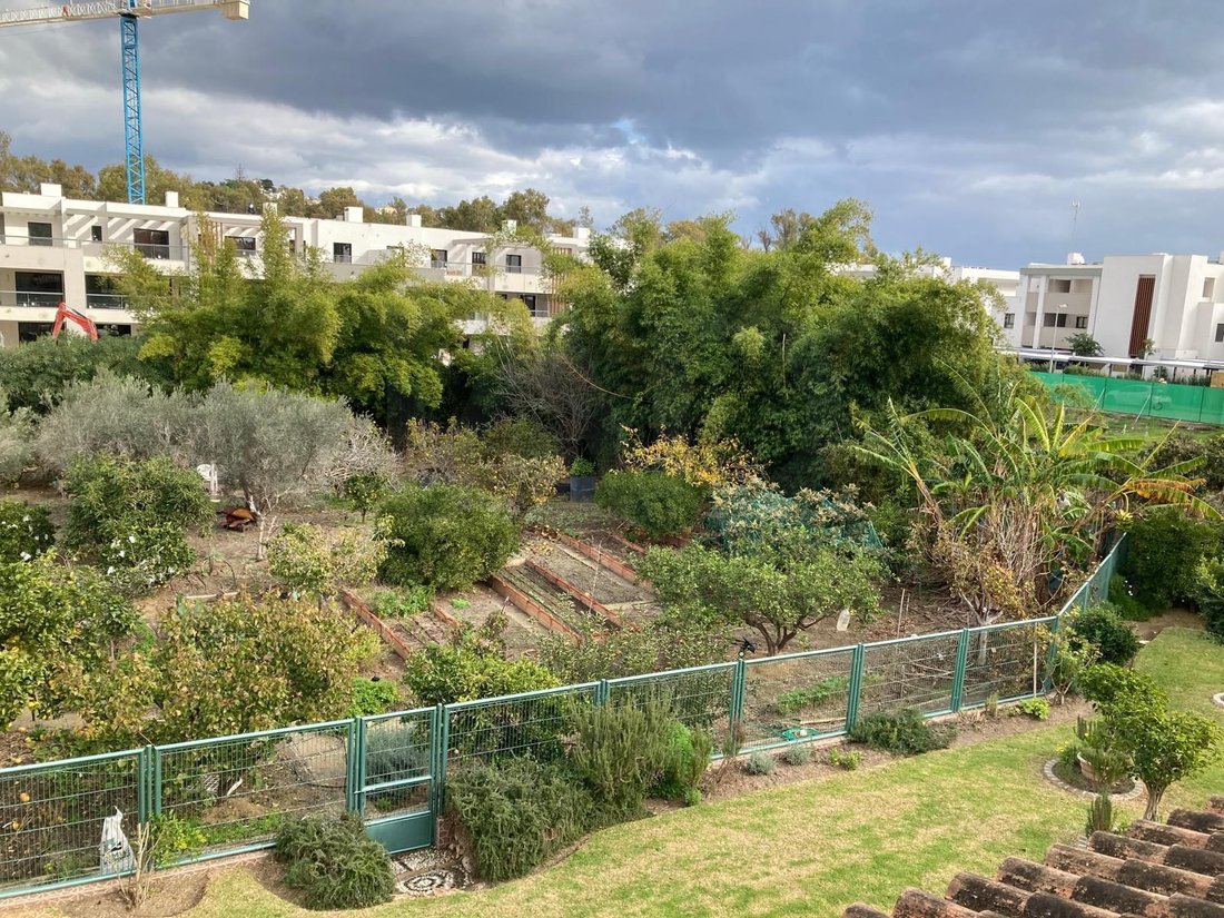 Land in Casares, Andalusia, Spain 2 - 16668419