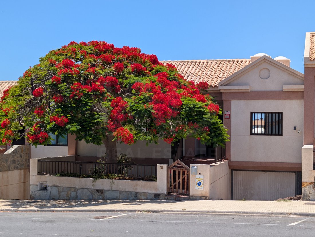 Chalet in Adeje, Canary Islands, Spain 1 - 17888198