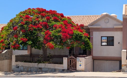 Chalet en Adeje, Canarias, España 1